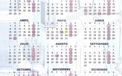 Monforte Limpio Presenta el Nuevo Calendario de Gestión de Residuos y Recogida de Enseres 2024